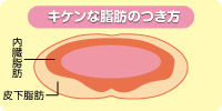 キケンな脂肪のつき方
