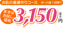お試し価格\3,150