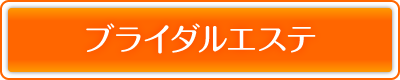 �u���C�_���G�X�e