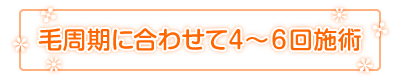 �ю����ɍ��킹�āA4�`6��{�p