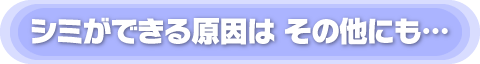�V�~���ł��錴���͂��̂ق��ɂ��E�E�E