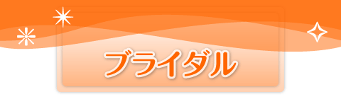 �u���C�_��
